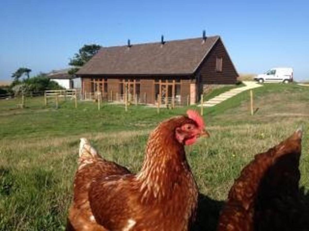 Poachers Hut - Captivating 1-Bed Cottage Shorwell Luaran gambar