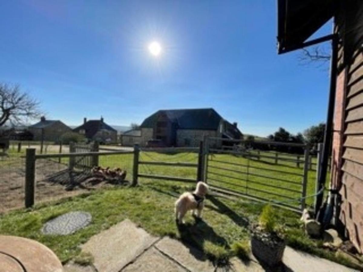 Poachers Hut - Captivating 1-Bed Cottage Shorwell Luaran gambar