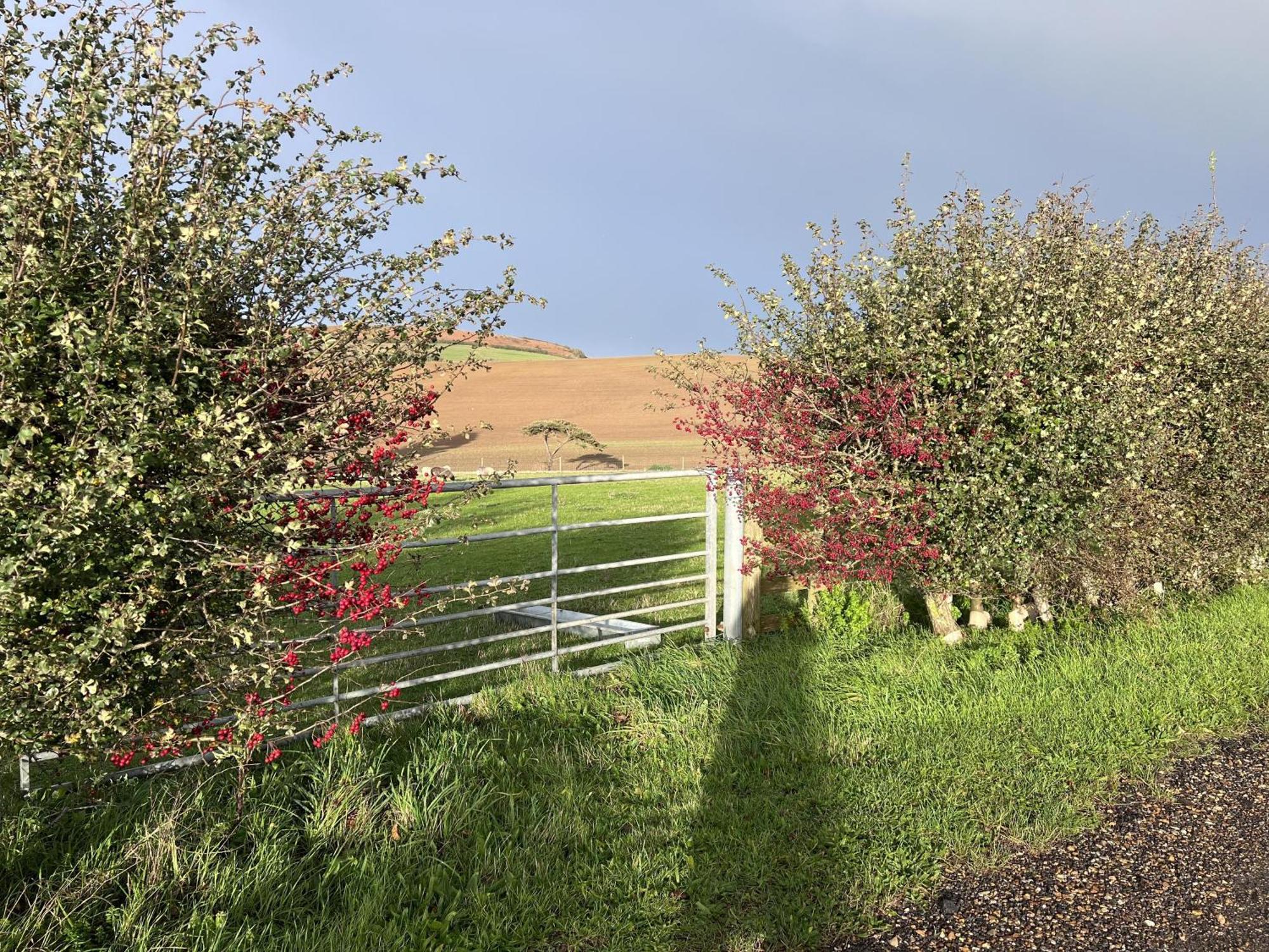 Poachers Hut - Captivating 1-Bed Cottage Shorwell Luaran gambar